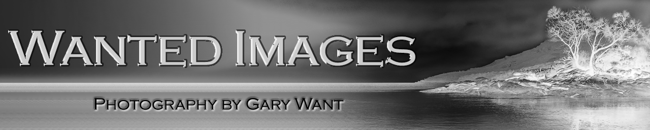 Wanted Images