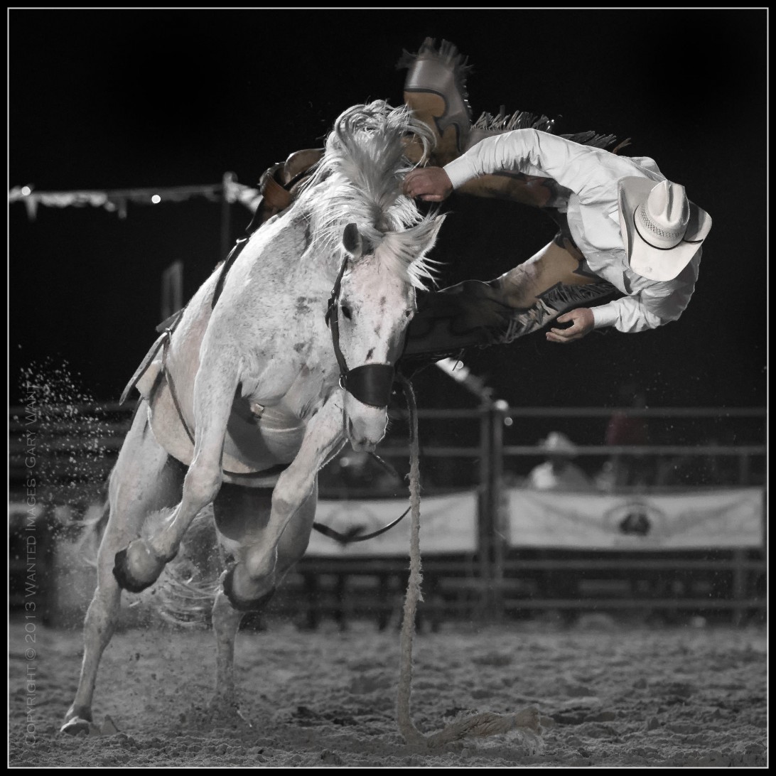 This rider launches off the bronco head first .