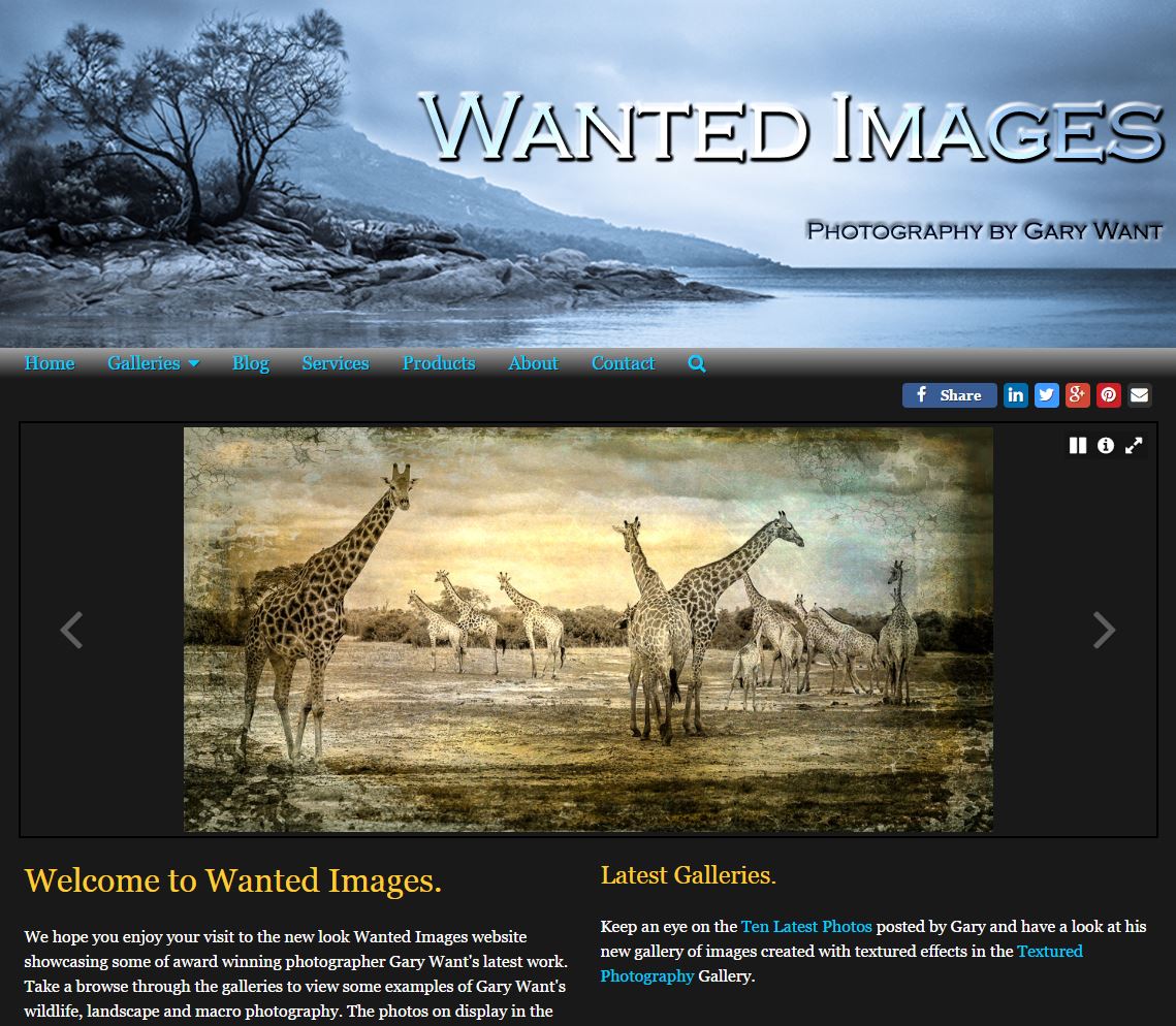 WantedImages Website