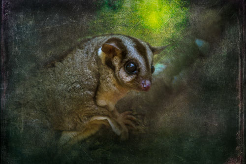 Digital Art