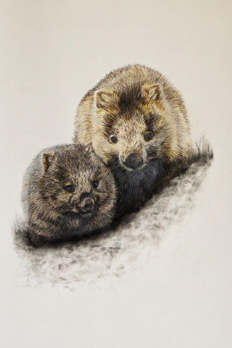 Fine Art Prints