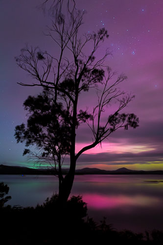 Scapes