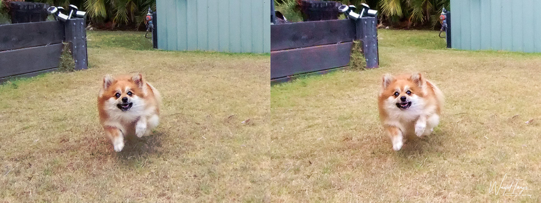 20170913095934_v1.jpg
